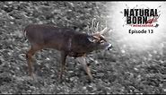 Winchester's Natural Born Ep. 15 (Jim Thome | Kyle Lamore | Dave Kramer)