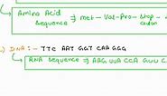 SOLVED: 5. For each sequence of DNA shown; Write the complementary RNA sequence underneath the letters, then use the codon chart t0 determine the amino acid sequence;DNA6 6A T T A € TRNAAmino AcidsDNAT T CT A 6 6 6RNAAmino AcidsDNA6 A € C 6 T CRNAAmino Acids