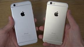 iPhone 6: Gold or Silver?