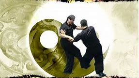 Traditional Wu Style Tai Chi Chuan - Essential fundamentals, basic push hands & demonstrations