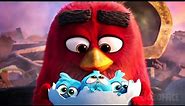 The Angry Birds cutest moments 🌀 4K