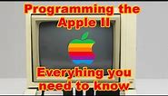 Programming the Apple II - Everything you need to know