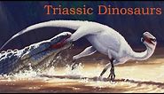 The Dinosaurs of the Triassic Period: A Summary of the First Dinosaurs and their Rise to Dominance