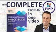 The Complete Project Management Body of Knowledge in One Video (PMBOK 7th Edition)