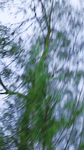 549K views · 10K reactions | Bata mujhko Sanam mere #dance #reels Facebook | Chand Debo | Facebook