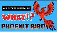 What is a Phoenix Bird ? Is it real or mythical?
