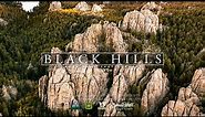 BLACK HILLS National Forest 8K South Dakota (Visually Stunning 3min Tour)