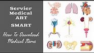 Navigate Servier Medical ART for Biology Icons