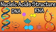 Structure Of Nucleic Acids - Structure Of DNA - Structure Of RNA - DNA Structure And RNA Structure