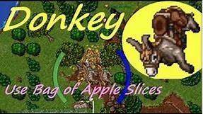 Mount Donkey - Use Bag of Apple Slices. 25.01.2018
