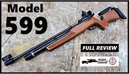 2023 Daisy Model 599 Competition PCP Air Rifle (Full Review) 10 Meter Tack Driver!