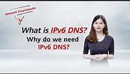 IPv6 Basic Series — What is IPv6 DNS?