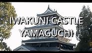 IWAKUNI CASTLE / YAMAGUCHI, JAPAN