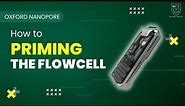 NANOPORE MINION - HOW TO PRIMING THE FLOW CELL