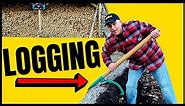 Moving Big Logs With a Cant Hook | Easily Roll By Hand