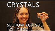 Sodium Acetate Trihydrate - Crystals