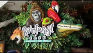 NEW RAINFOREST CAFE - MALL OF AMERICA