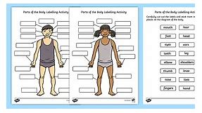 Parts of the Body Labelling Activity