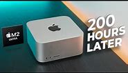 Apple M2 Ultra Mac Studio – 200 Hours Later: King of Macs