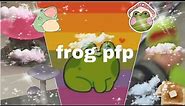 frog pfp/ fairy grunge goblincore