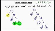 Prime factor trees - finding HCF + LCM (N)