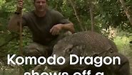 Deadly 60: The largest lizard on Earth