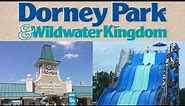 Dorney Park Wildwater Kingdom | Dorney Park's Water Park | Allentown, PA | The Best Water Park In PA