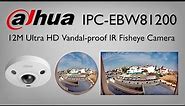 Dahua IPC EBW81200 12M Ultra HD Vandal proof IR Fisheye Camera
