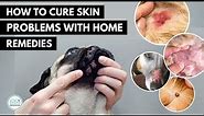 How To treat 5 Skin infection in dogs 🐕 with home remedies.