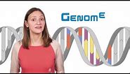 What is the difference between genetics and genomics?