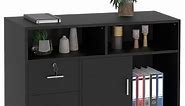 DWVO Office Lateral File Cabinet 2 Drawer with Lock Storage Wood Shelf A4 Size Filing Organizer Black