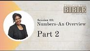 Session #13 (Part 2): Numbers - An Overview // Through the Bible with Dr. Michelle and Friends