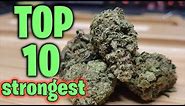 World's Top 10 STRONGEST Strains