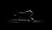 The Lion – Inside CHANEL