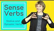 Sense verbs - stative and dynamic English verbs