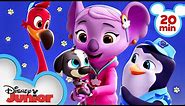 Calling All T.O.T.S. 🐧| Compilation | T.O.T.S. | Disney Junior