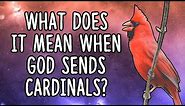 What Does It Mean When God Sends Cardinals | Cardinal Spirit Animal
