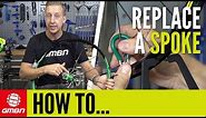 How To Replace A Broken Spoke | Mountain Bike Maintenance