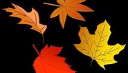 Animation Tutorial - Falling Leaves