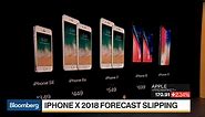 Bloomberg Intelligence analyst Paul Sweeney discusses Apple and iPhone X sales forecasts for 2018.