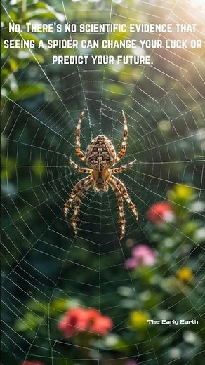 Does Seeing a Spider Bring Good or Bad Luck? 🕷️ | Science vs Superstition