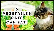 5 Vegetables Cats Can Eat (And 5 To Avoid!)