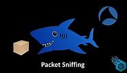 What is Packet Sniffing?