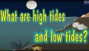 HIGH AND LOW TIDES, AS AND WHY ANIMATION WELL EXPLAINED