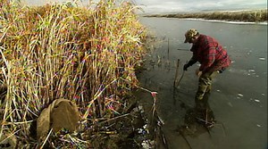 4.8K views · 110 reactions | More than 15 years ago, I came across an...