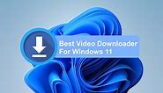 15 Best Video Downloader for Windows 11 in 2024