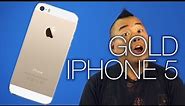 New iPhone 5C and iPhone 5S - Netlinked Daily