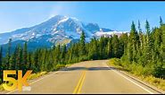 5K Roads of Mount Rainier Area - 7 HRS Scenic Drive through Mountain Scenery with Real Sounds