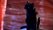 The Best Of Salem (Sabrina The Teenage Witch)