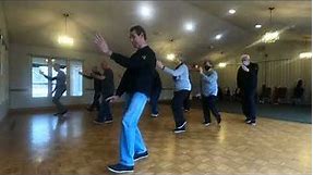 Wu Style Tai Chi Chuan 12-Posture From